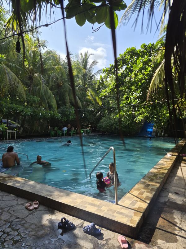 Adult swimming pool with turquoise water, metal ladder and palm-tree canopy